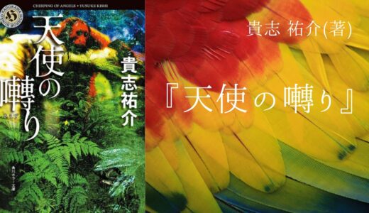 No 73 ホラーとミステリーを融合させた ちょっと怖い5つの物語 ふちなしのかがみ 辻村深月 著 ロンリー ハーツ読書倶楽部