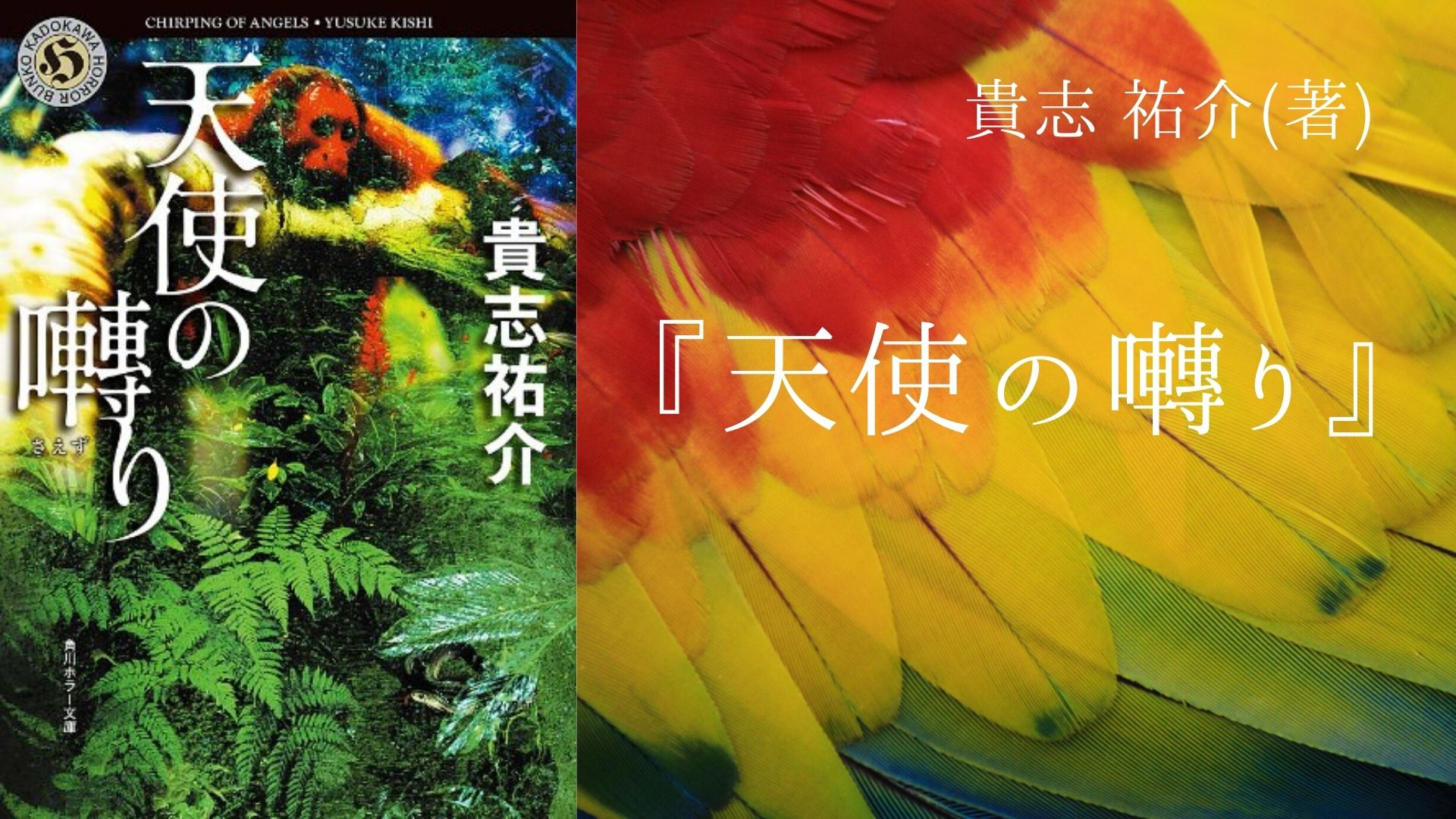 No 132 頻発する不可解な事件と舞い降りた天使 前人未到のサスペンス ホラー 天使の囀り 貴志 祐介 著 ロンリー ハーツ読書倶楽部